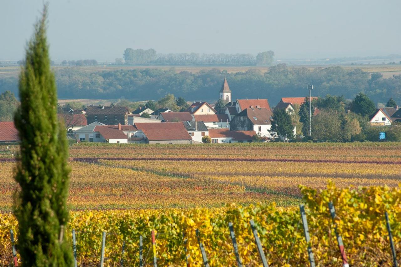 Gaestehaus & Weingut Peth Florsheim-Dalsheim Екстер'єр фото